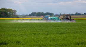 Épandage des pesticides à proximité des habitations, le gouvernement obligé de revoir sa copie