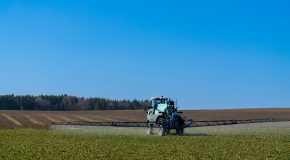 Pesticides La nocivité pour la santé humaine se précise