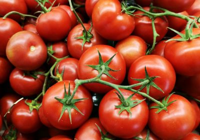 Pesticides De nombreux résidus dans les tomates espagnoles et marocaines