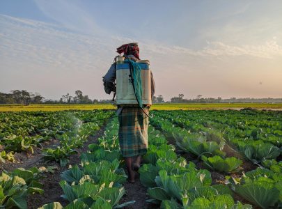 #pesticides