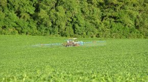 Loi Duplomb Un débat, quelques attentes et beaucoup de déception