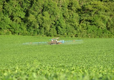Loi Duplomb Un débat, quelques attentes et beaucoup de déception