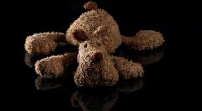 Chien en peluche (vidéo) Les arnaques dopées à l’intelligence artificielle débarquent