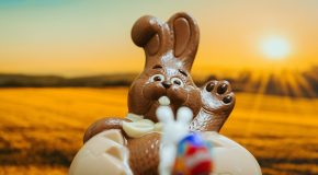 Chocolats de Pâques La baisse du cours du cacao ne profite pas aux consommateurs